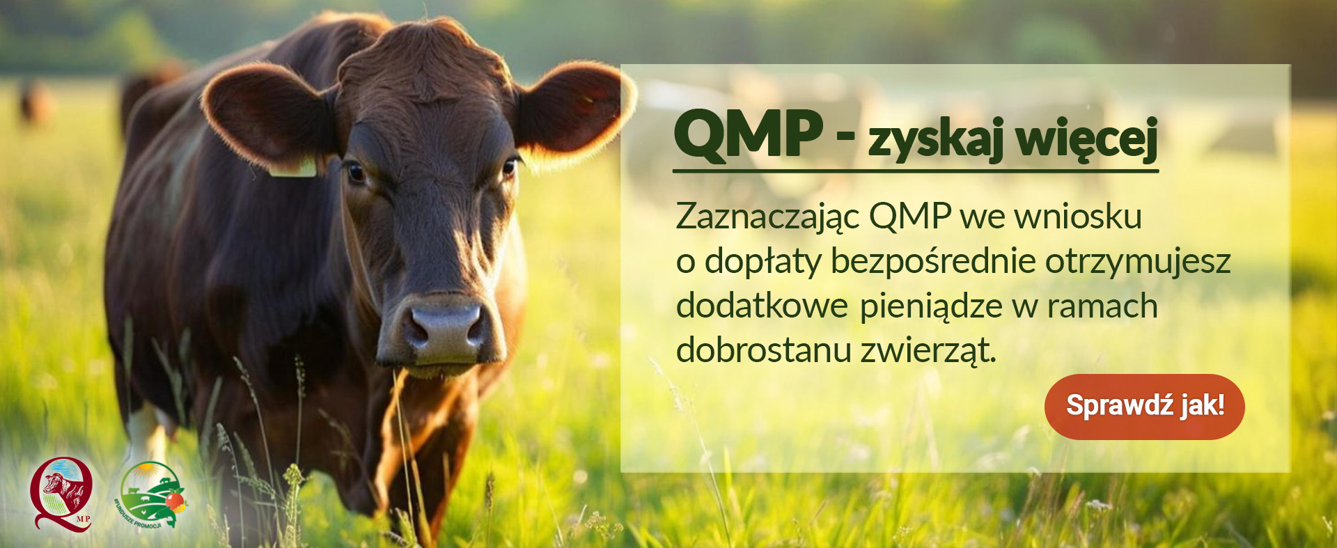 Plakat z informacją jak w treści